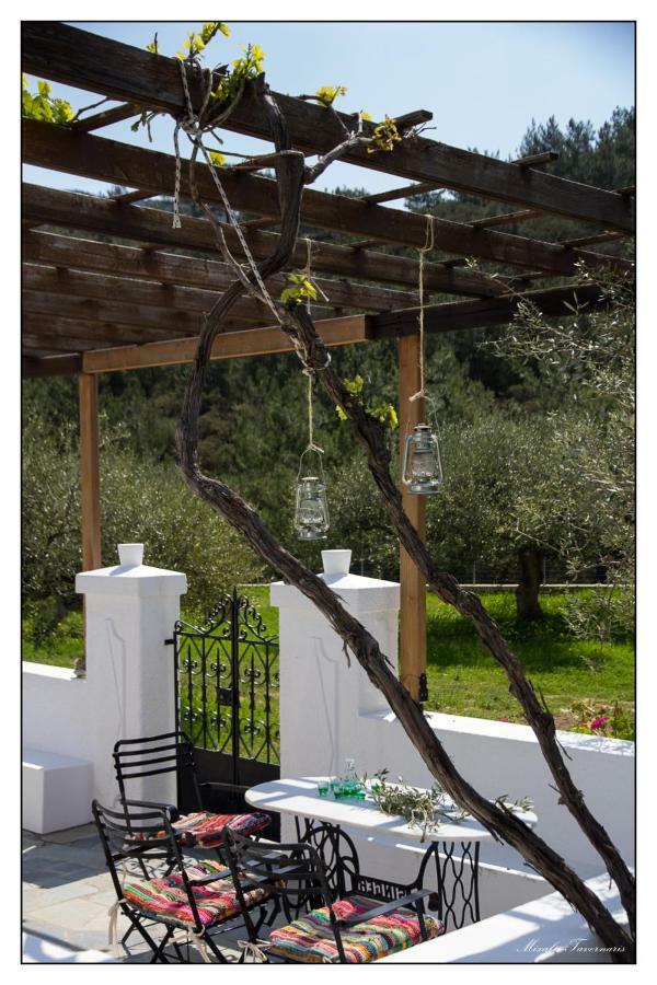 Liodentro House Villa Karpathos Exteriör bild