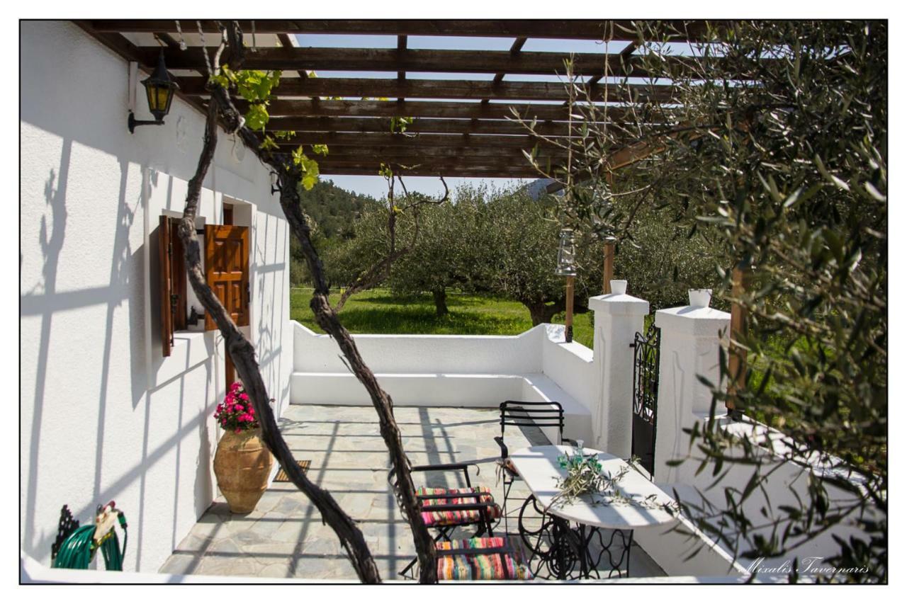 Liodentro House Villa Karpathos Exteriör bild