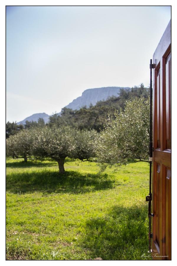 Liodentro House Villa Karpathos Exteriör bild